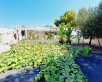 Reventa - Villa - Orihuela Costa - Campoamor