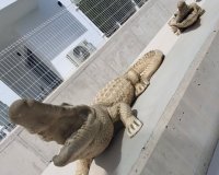 Reventa - Villa - Orihuela - Entre Naranjos Vistabella Golf