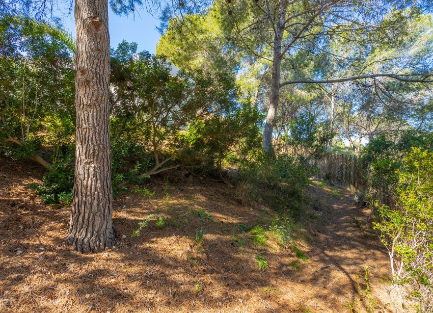 Reventa - Villa - Orihuela - Orihuela Costa