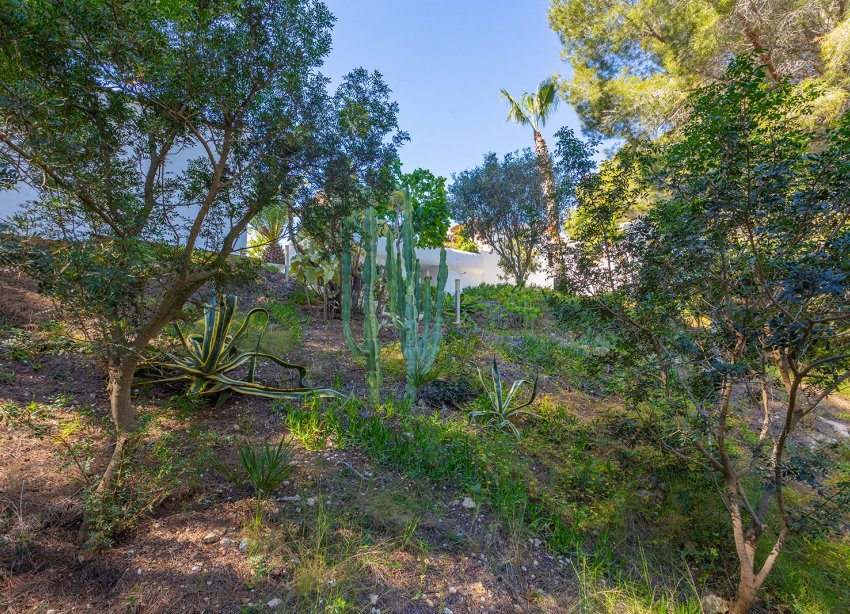 Reventa - Villa - Orihuela - Orihuela Costa