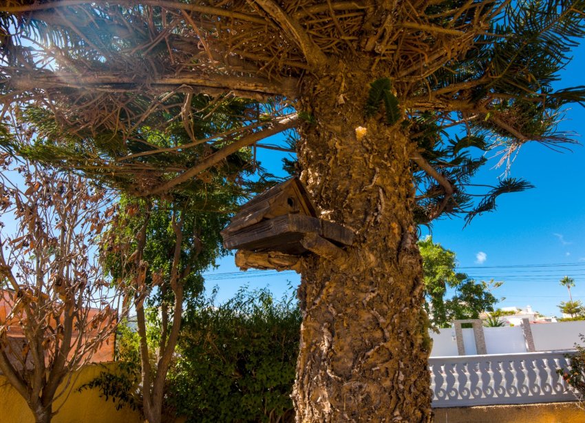 Reventa - Villa - Torrevieja - La Siesta