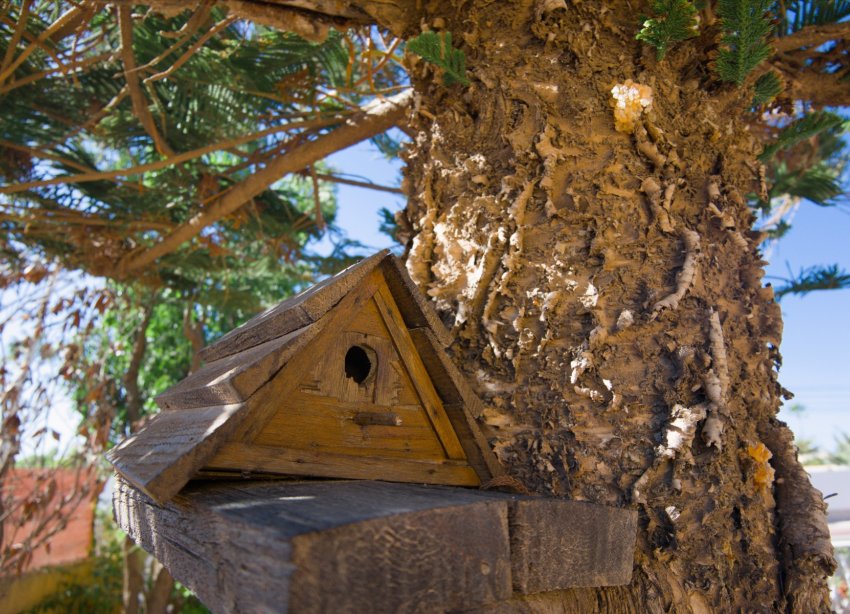 Reventa - Villa - Torrevieja - La Siesta