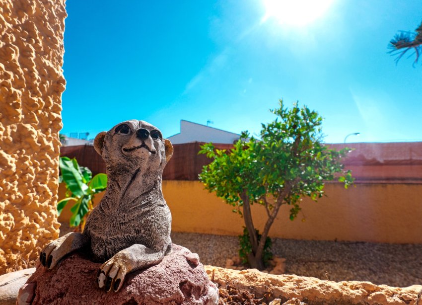 Reventa - Villa - Torrevieja - La Siesta