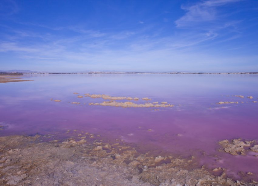 Reventa - Villa - Torrevieja - Los Altos