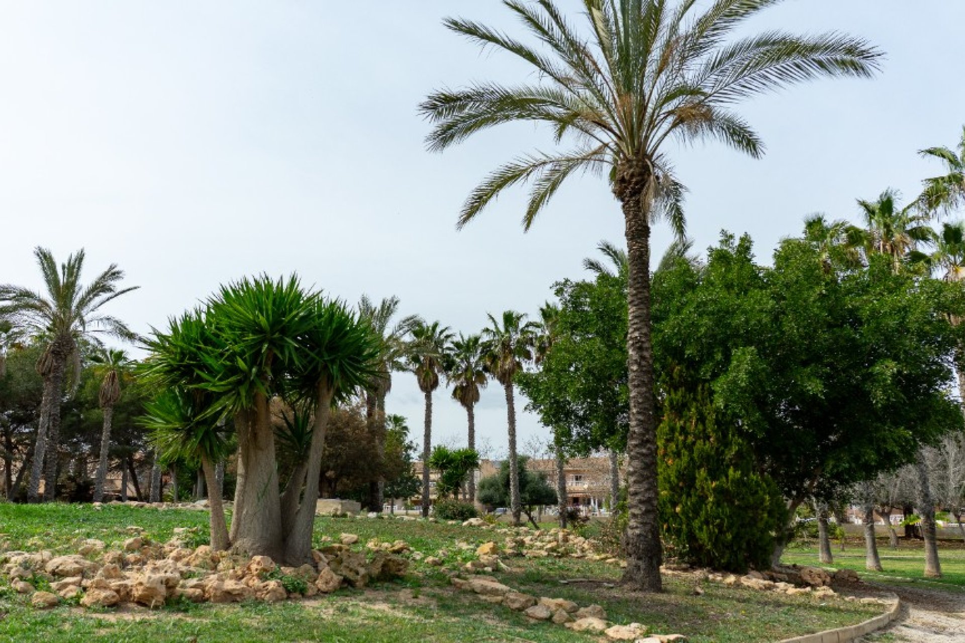 Reventa - Villa - Torrevieja - Los Altos