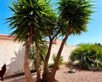 Reventa - - VILLA - Torrevieja - Urbanización San Luis