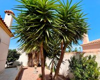 Reventa - - VILLA - Torrevieja - Urbanización San Luis