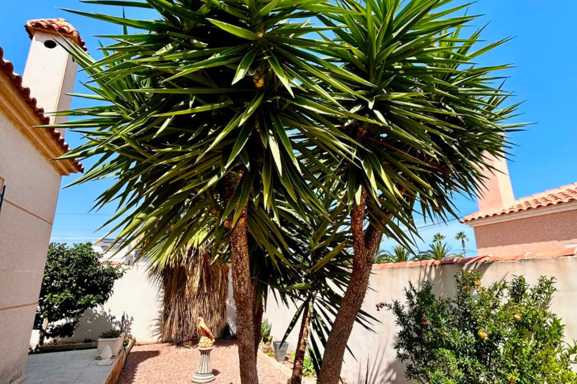 Reventa - - VILLA - Torrevieja - Urbanización San Luis