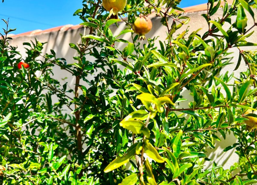 Reventa - - VILLA - Torrevieja - Urbanización San Luis