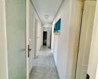 Reventa - - VILLA - Torrevieja - Urbanización San Luis