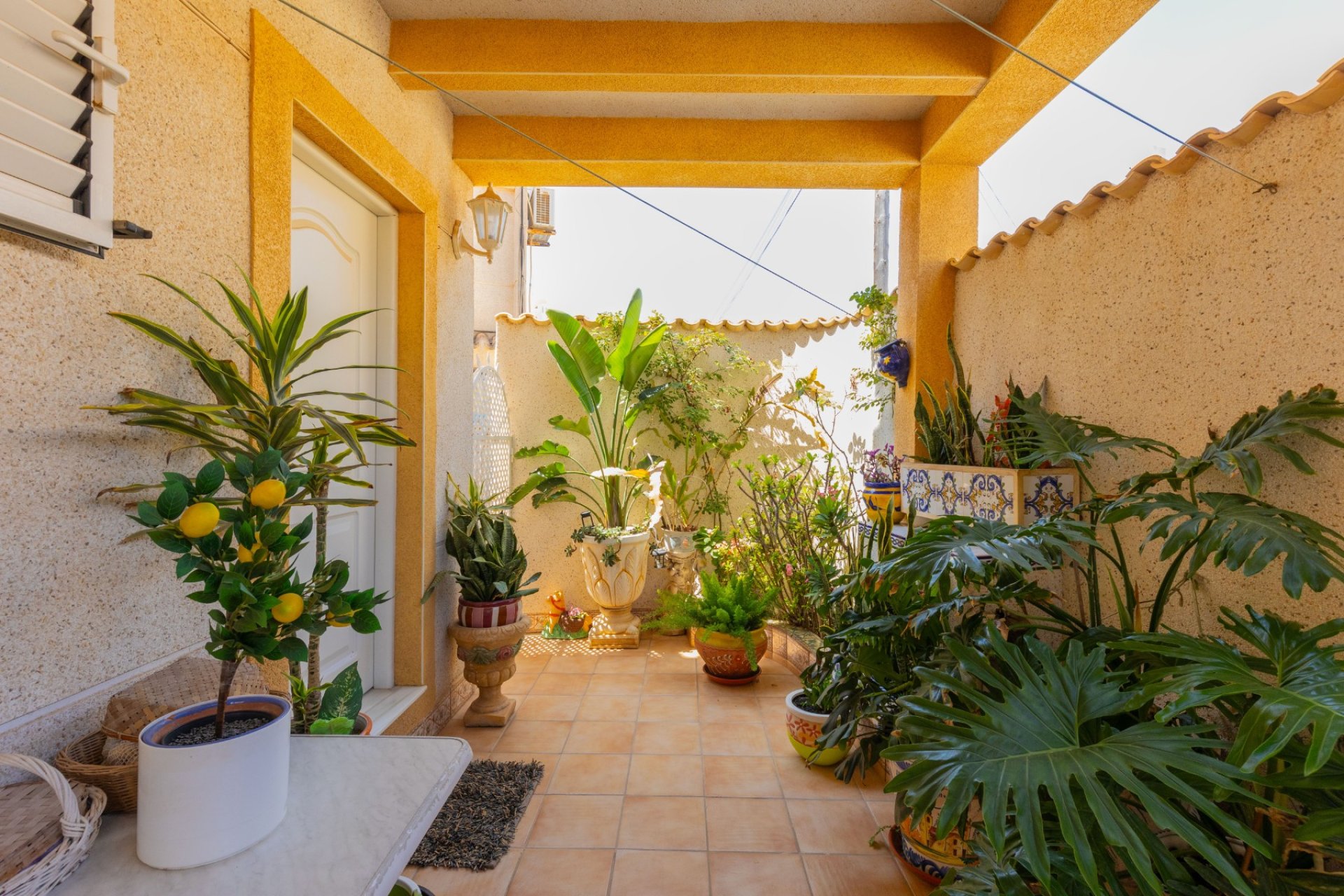 Reventa - Villa - Torrevieja - Zona los Frutales