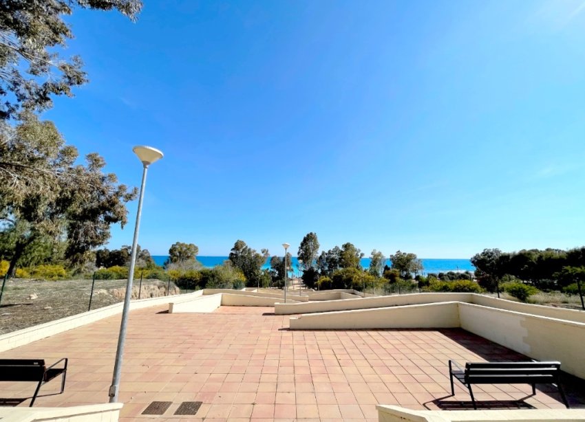 Rynek Pierwotny - Apartament - Alicante