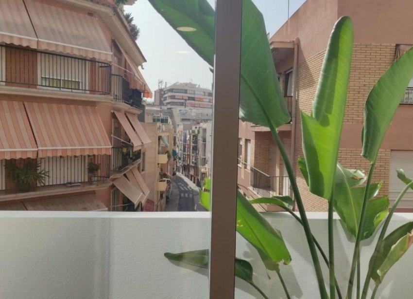 Rynek Pierwotny - Apartament - Alicante