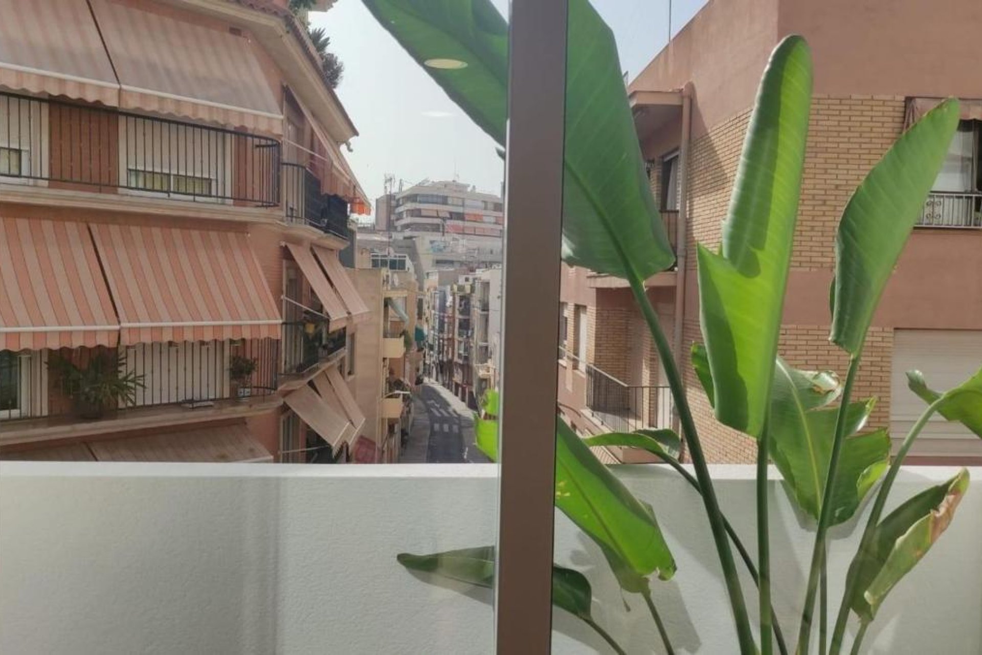 Rynek Pierwotny - Apartament - Alicante