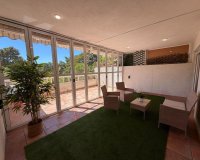 Rynek Pierwotny - Apartament - Alicante