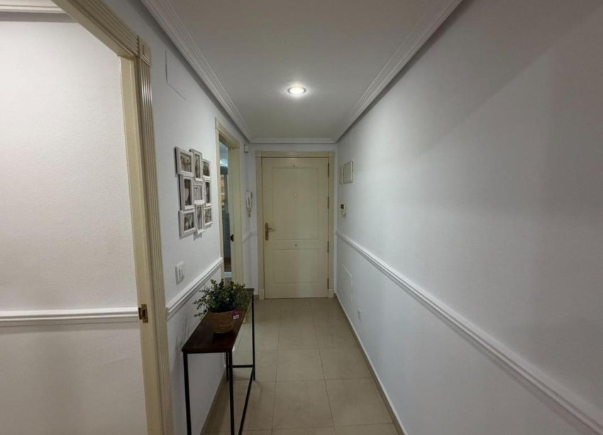 Rynek Pierwotny - Apartament - Alicante