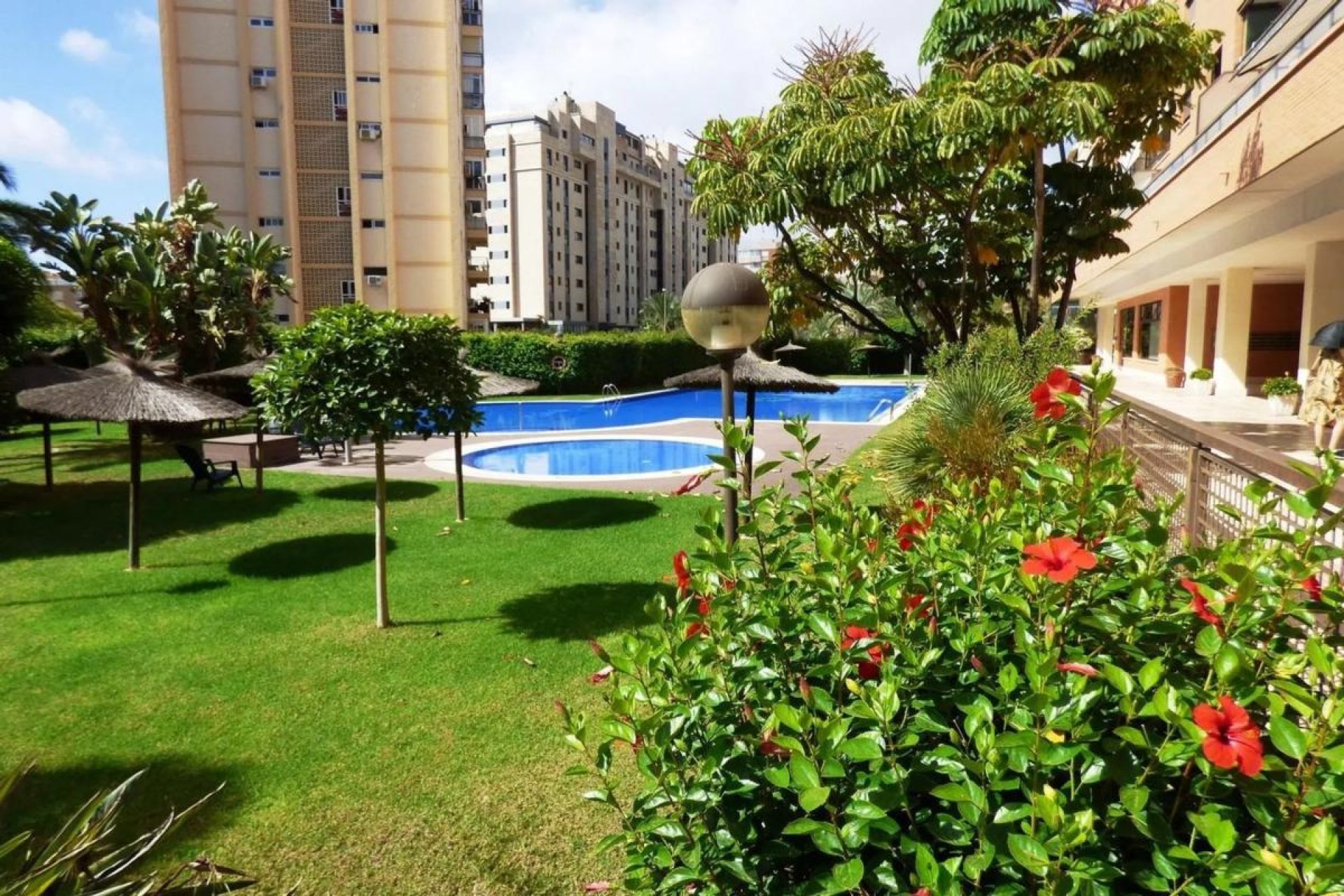 Rynek Pierwotny - Apartament - Alicante