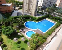 Rynek Pierwotny - Apartament - Alicante