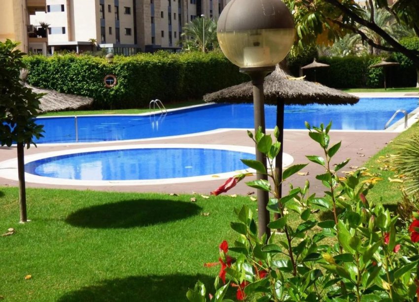 Rynek Pierwotny - Apartament - Alicante