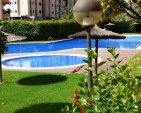 Rynek Pierwotny - Apartament - Alicante