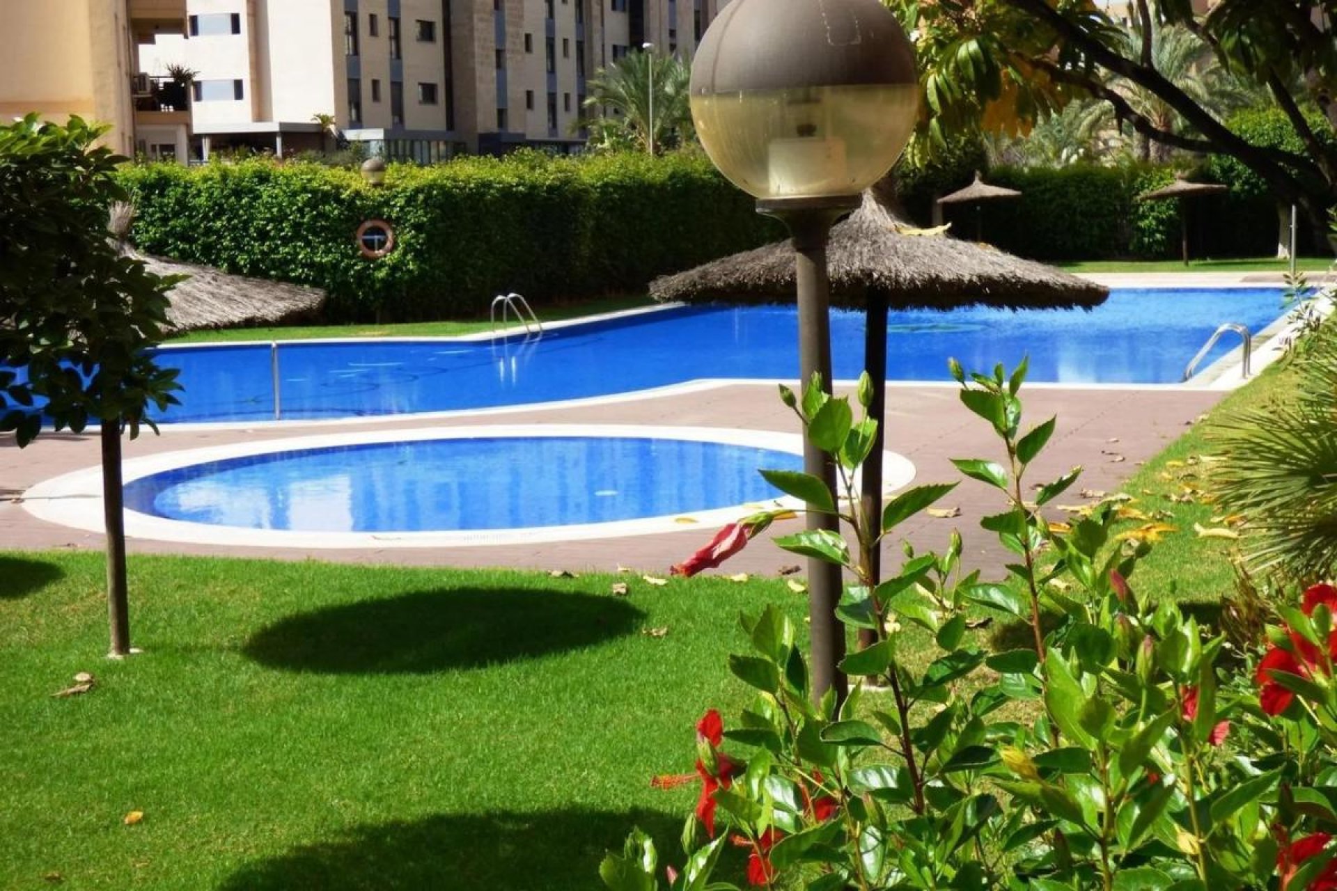 Rynek Pierwotny - Apartament - Alicante