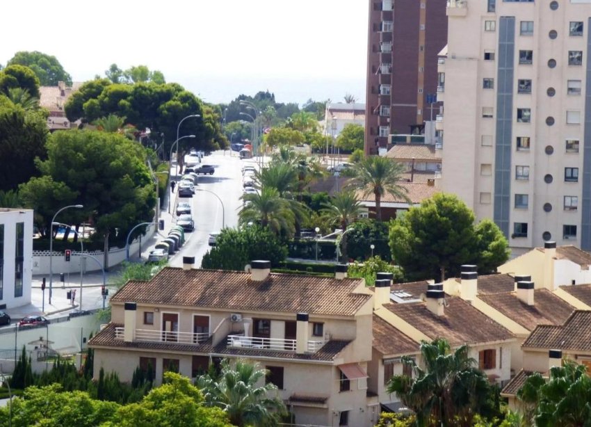 Rynek Pierwotny - Apartament - Alicante