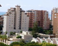 Rynek Pierwotny - Apartament - Alicante