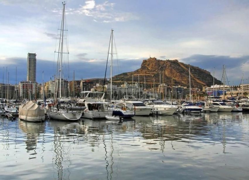 Rynek Pierwotny - Apartament - Alicante
