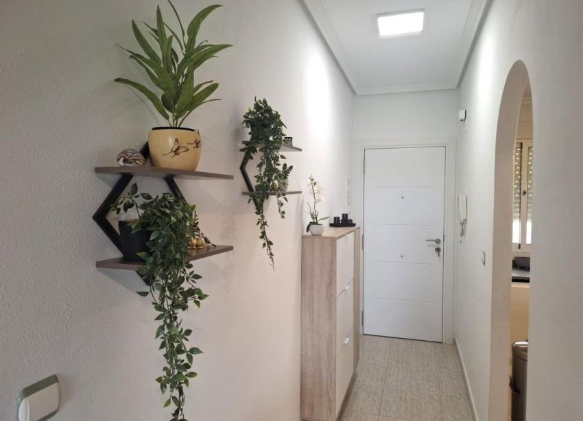 Rynek Pierwotny - Apartament - Almoradí