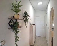 Rynek Pierwotny - Apartament - Almoradí