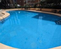 Rynek Pierwotny - Apartament - Benidorm