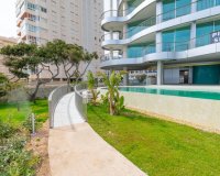 Rynek Pierwotny - Apartament - Calpe