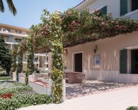 Rynek Pierwotny - Apartament - Denia - Puerto Denia