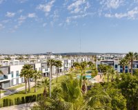 Rynek Pierwotny - Apartament - Guardamar del Segura - Guardamar Del Segura