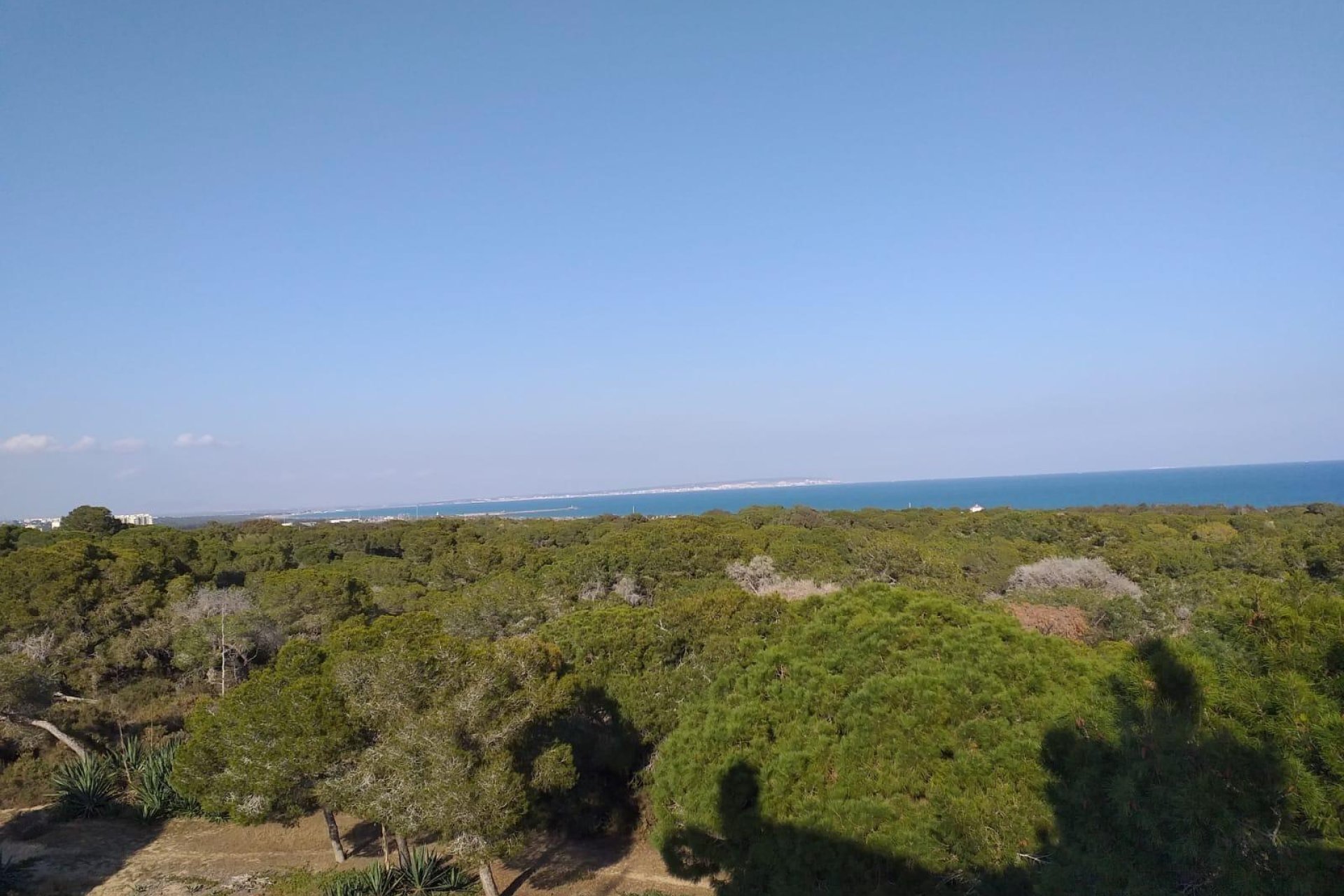 Rynek Pierwotny - Apartament - Guardamar del Segura - Pueblo