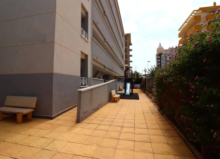 Rynek Pierwotny - Apartament - Guardamar del Segura