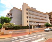 Rynek Pierwotny - Apartament - Guardamar del Segura