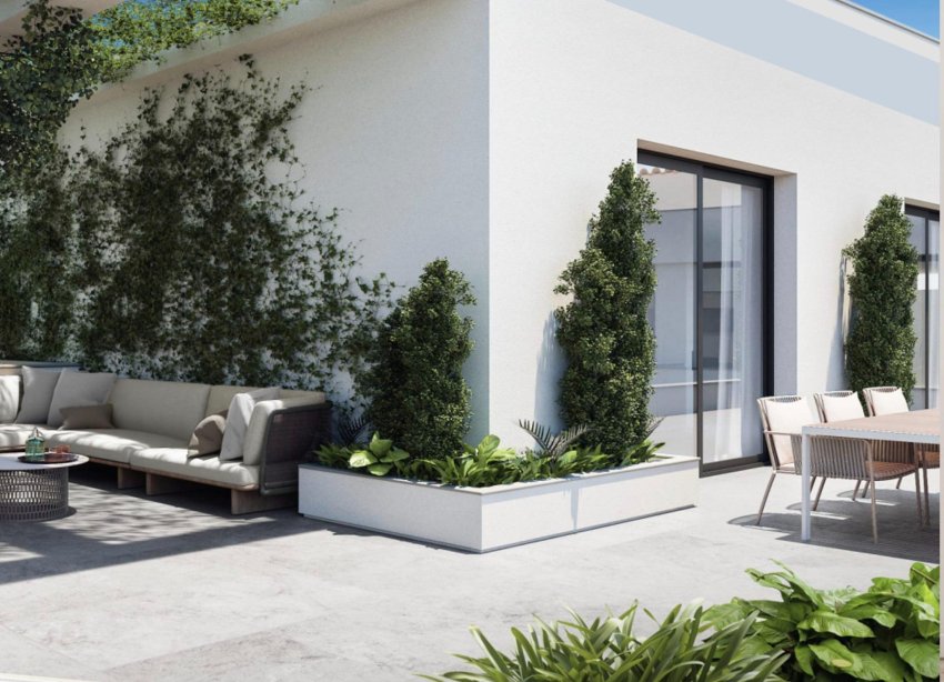 Rynek Pierwotny - Apartament - ﻿Torrevieja (Alicante) - Torrevieja