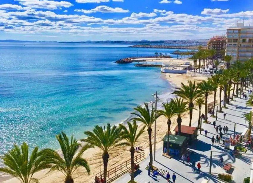 Rynek Pierwotny - Apartament - ﻿Torrevieja (Alicante) - Torrevieja