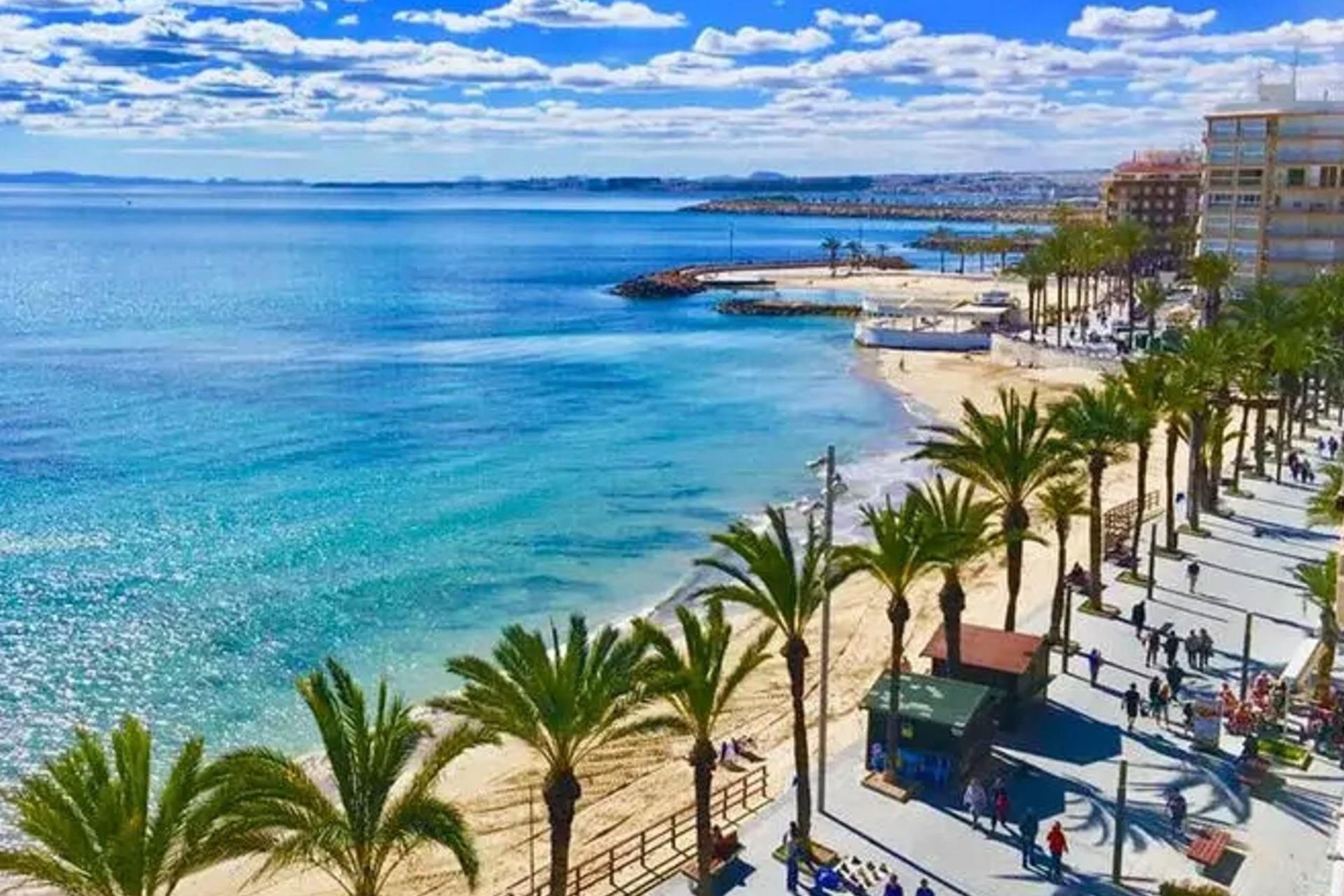Rynek Pierwotny - Apartament - ﻿Torrevieja (Alicante) - Torrevieja