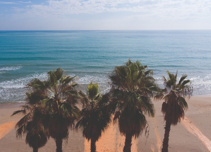 Rynek Pierwotny - Apartament - Orihuela Costa - Campoamor