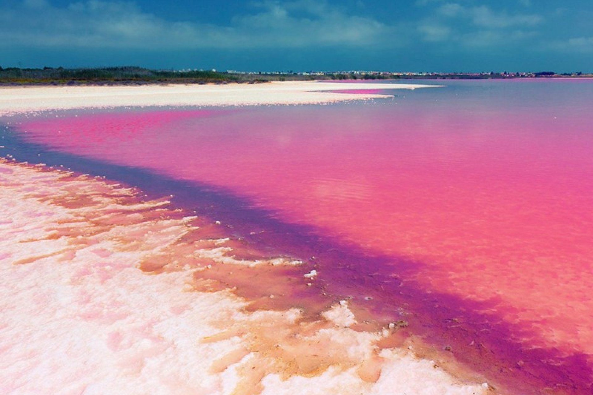 Rynek Pierwotny - Apartament - Orihuela Costa - Playa Flamenca