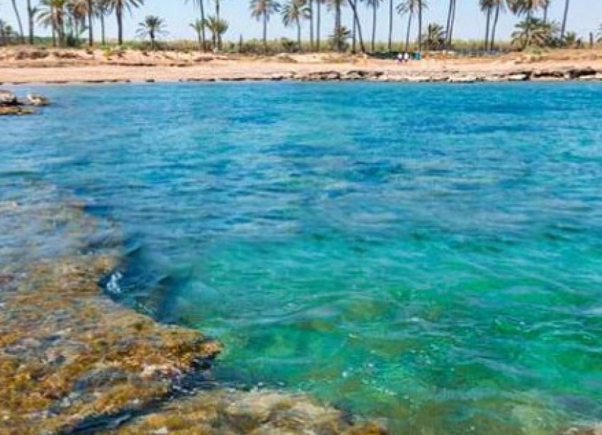 Rynek Pierwotny - Apartament - Orihuela Costa - Punta Prima