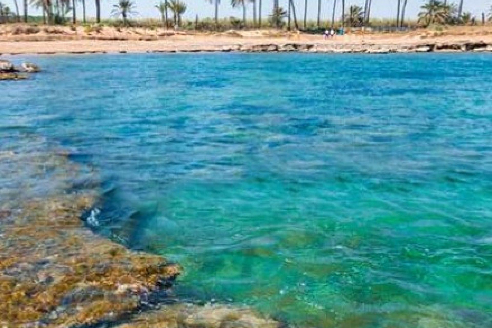 Rynek Pierwotny - Apartament - Orihuela Costa - Punta Prima