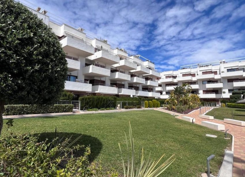 Rynek Pierwotny - Apartament - Orihuela