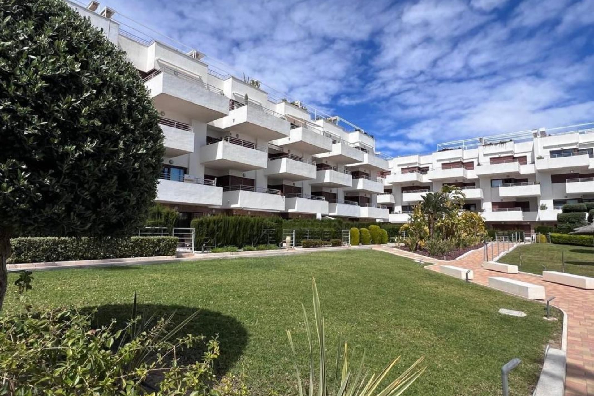 Rynek Pierwotny - Apartament - Orihuela