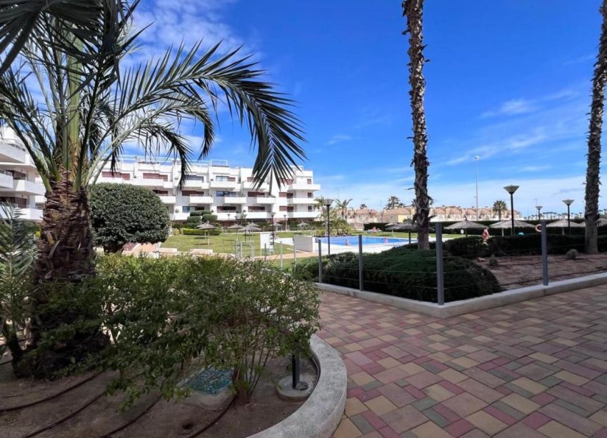 Rynek Pierwotny - Apartament - Orihuela
