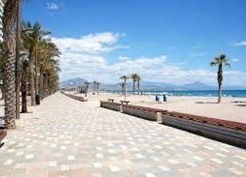 Rynek Pierwotny - Apartament - San Juan Alicante - Franc Espinós