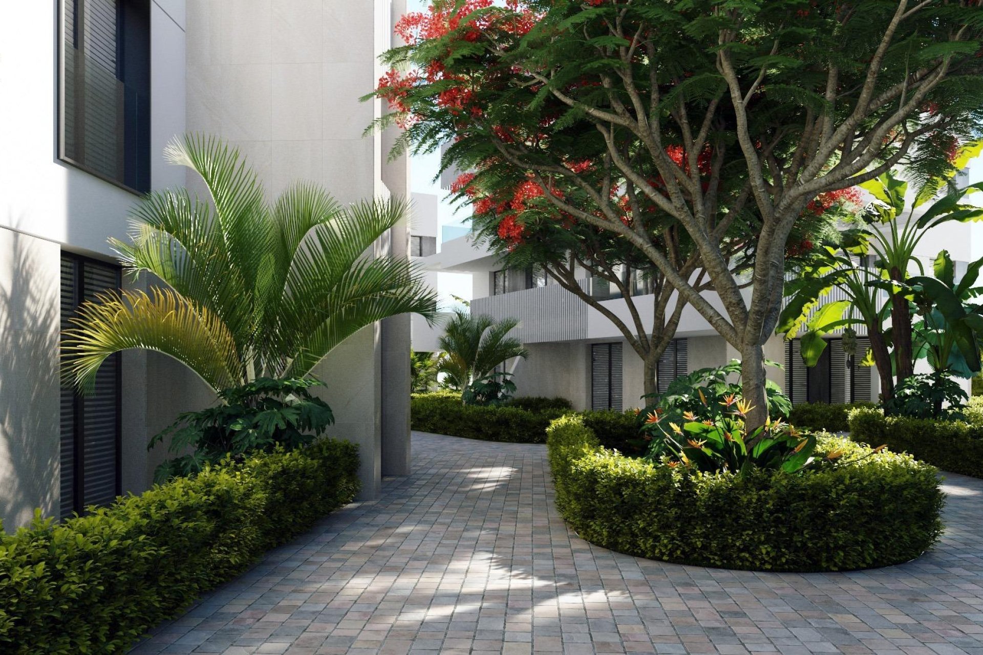 Rynek Pierwotny - Apartament - Torre Pacheco