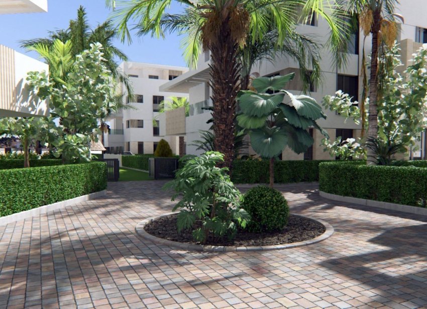 Rynek Pierwotny - Apartament - Torre Pacheco